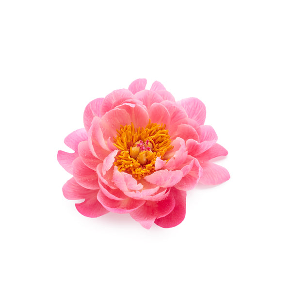 Άρωμα κεριού Πεόνια και Oud